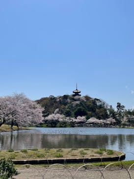 三溪園に投稿された画像（2023/3/29）