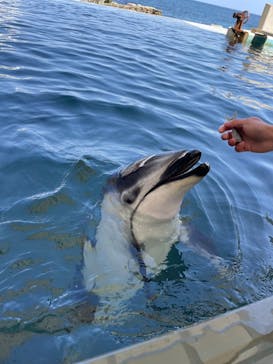 城崎マリンワールドに投稿された画像（2023/3/29）