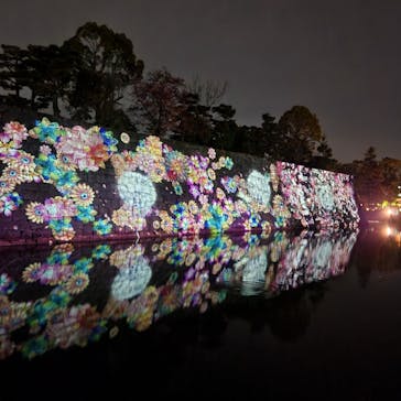 『NAKED FLOWERS 2023 桜 世界遺産・二条城』に投稿された画像（2023/3/29）