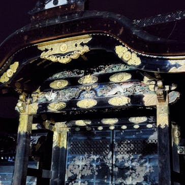 『NAKED FLOWERS 2023 桜 世界遺産・二条城』に投稿された画像（2023/3/29）