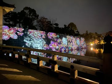 『NAKED FLOWERS 2023 桜 世界遺産・二条城』に投稿された画像（2023/3/30）
