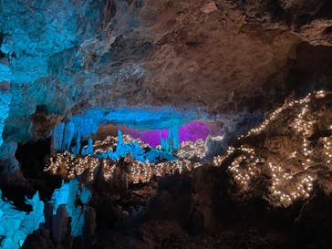 石垣島鍾乳洞に投稿された画像（2023/3/30）