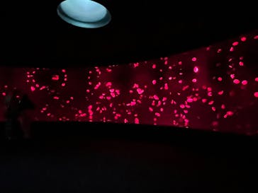 サンシャイン水族館に投稿された画像（2023/3/30）