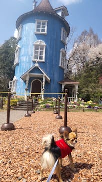 ムーミンバレーパークに投稿された画像（2023/3/30）