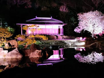 『NAKED FLOWERS 2023 桜 世界遺産・二条城』に投稿された画像（2023/3/30）