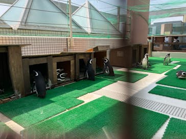 株式会社Gに投稿された画像（2023/3/30）