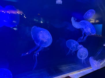 株式会社Gに投稿された画像（2023/3/30）