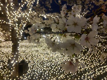 NESTA RESORT KOBE（ネスタリゾート神戸）に投稿された画像（2023/3/30）