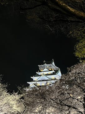 大阪城公園 西の丸庭園に投稿された画像（2023/3/30）