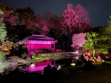 『NAKED FLOWERS 2023 桜 世界遺産・二条城』に投稿された画像（2023/3/30）