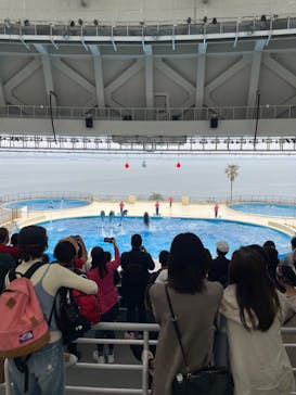 マリンワールド海の中道に投稿された画像（2023/3/30）