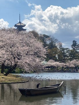 三溪園に投稿された画像（2023/3/30）