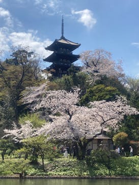 三溪園に投稿された画像（2023/3/30）