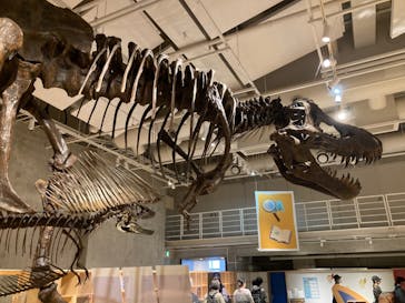 特別展「恐竜博2023」に投稿された画像（2023/3/30）