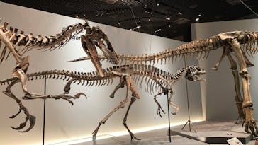 特別展「恐竜博2023」に投稿された画像（2023/3/30）