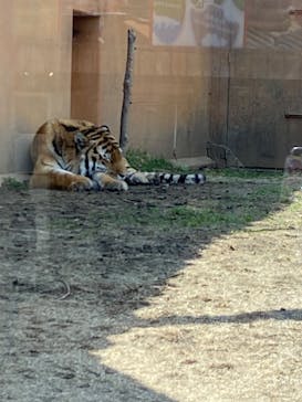 那須どうぶつ王国に投稿された画像（2023/3/30）
