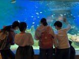 しながわ水族館に投稿された画像（2023/3/30）