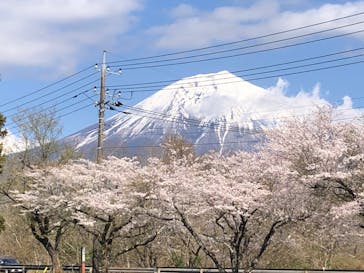 まかいの牧場に投稿された画像（2023/3/30）