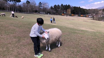 まかいの牧場に投稿された画像（2023/3/30）