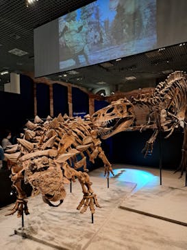 特別展「恐竜博2023」に投稿された画像（2023/3/30）
