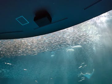 名古屋港水族館に投稿された画像（2023/3/30）