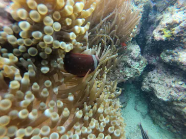 武藤潜水に投稿された画像（2023/3/30）