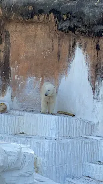 天王寺動物園に投稿された画像（2023/3/30）
