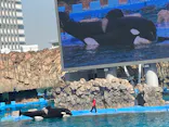 名古屋港水族館に投稿された画像（2023/3/30）