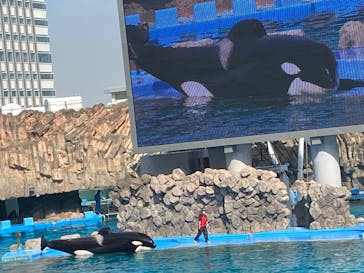 名古屋港水族館に投稿された画像（2023/3/30）