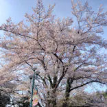 日本モンキーパークに投稿された画像（2023/3/30）
