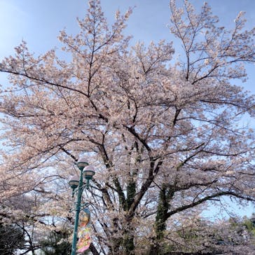 日本モンキーパークに投稿された画像（2023/3/30）