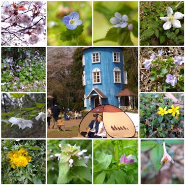 ムーミンバレーパークに投稿された画像（2023/3/30）