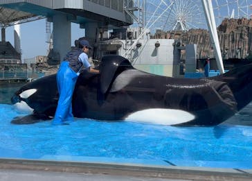 名古屋港水族館に投稿された画像（2023/3/30）