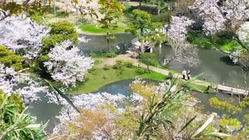 三溪園に投稿された画像（2023/3/30）