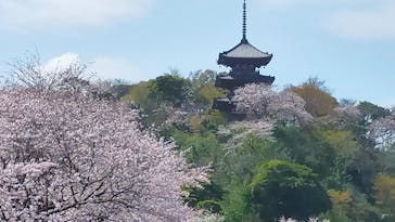 三溪園に投稿された画像（2023/3/30）