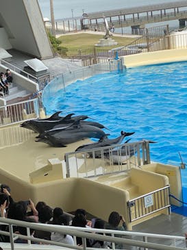 マリンワールド海の中道に投稿された画像（2023/3/30）