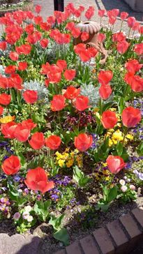 ひらかたパークに投稿された画像（2023/3/30）