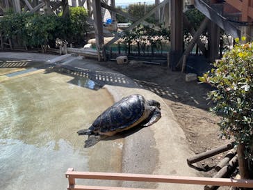 湘南モノレール大船駅に投稿された画像（2023/3/30）