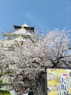 大阪城天守閣に投稿された画像（2023/3/30）