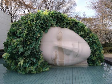 彫刻の森美術館に投稿された画像（2023/3/30）