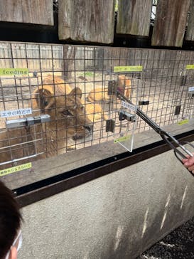 群馬サファリパークに投稿された画像（2023/3/30）