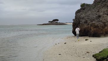 沖縄美ら海水族館に投稿された画像（2023/3/30）