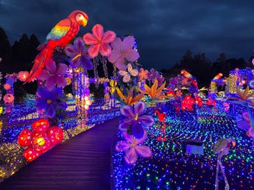 伊豆ぐらんぱる公園に投稿された画像（2023/3/30）