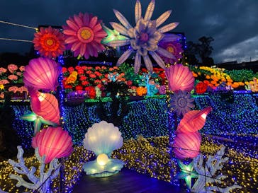 伊豆ぐらんぱる公園に投稿された画像（2023/3/30）