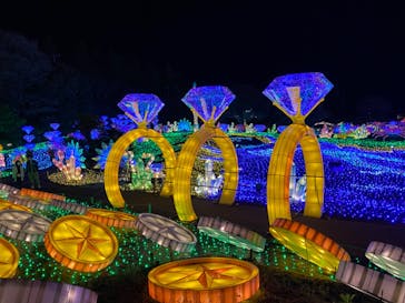 伊豆ぐらんぱる公園に投稿された画像（2023/3/30）