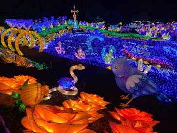 伊豆ぐらんぱる公園に投稿された画像（2023/3/30）