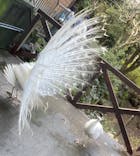 伊豆シャボテン動物公園に投稿された画像（2023/3/30）