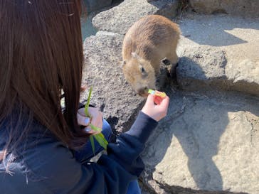伊豆シャボテン動物公園に投稿された画像（2023/3/30）
