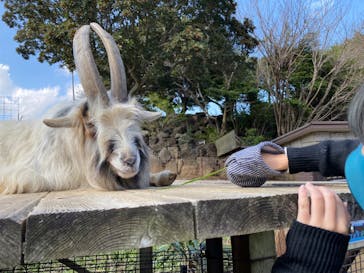 伊豆シャボテン動物公園に投稿された画像（2023/3/30）