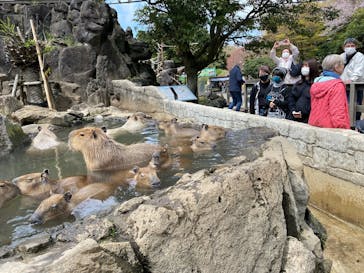 伊豆シャボテン動物公園に投稿された画像（2023/3/30）